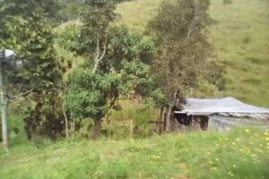 Agrolenial&rsquo;s Aldea