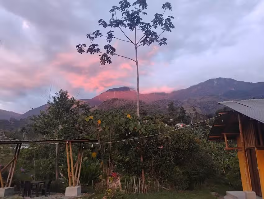 Ag&uuml;ita Con Lim&oacute;n