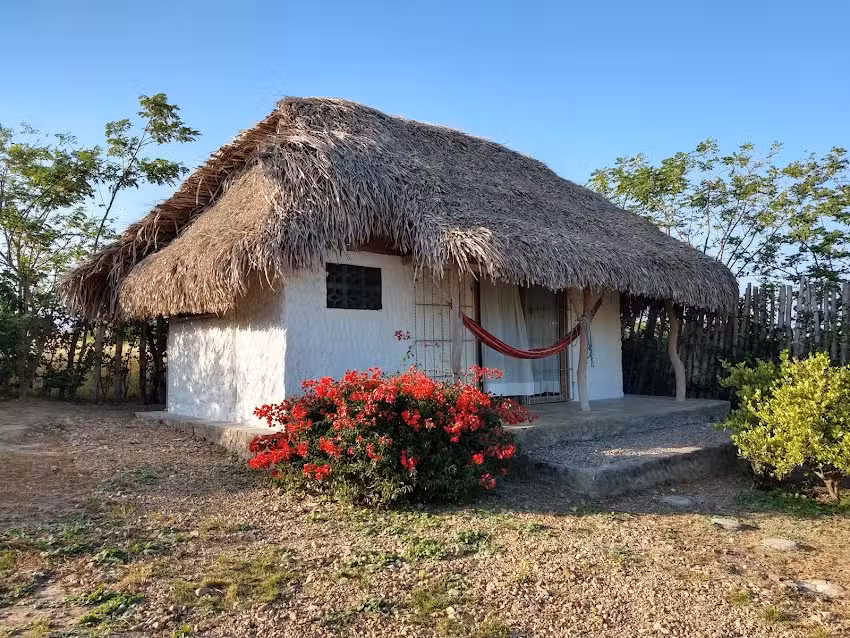 Alewa &ndash; Dibulla