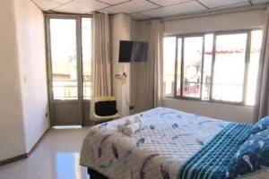 Alojamiento Apartamento entero