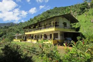 Alojamiento Jard&iacute;n Consentido