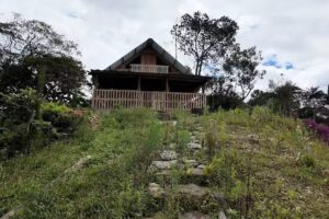 Alojamiento Posada Real