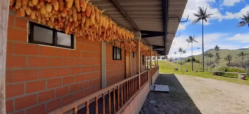 Alojamiento Rural Mirador Samaria San Felix- Salamina-Caldas, palma de cera