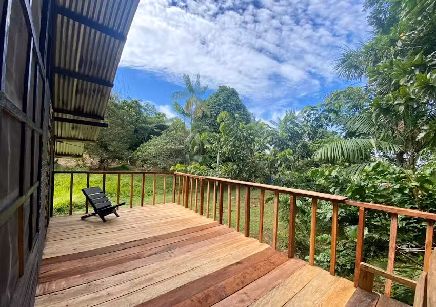 Amazon Bird Lodge