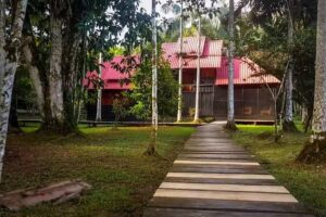 Amazon Experience Hostel