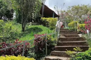 Apto Vacacional &rdquo; ENTRE MONTA&Ntilde;AS CAMPESTRE&rdquo;