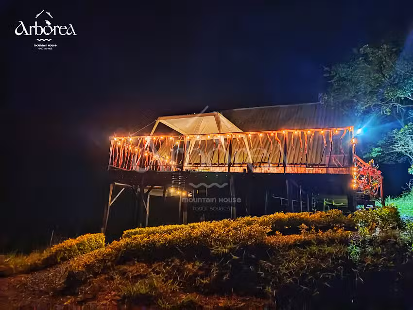 Arborea Mountain House