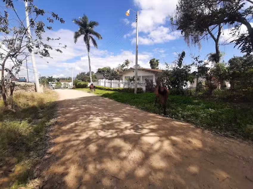 Avicola La Caba&ntilde;a