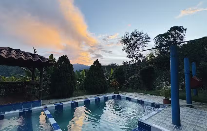 Ayahuasca Casa Art&iacute;stica