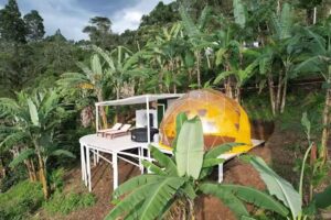 Bajo el Cielo Glamping