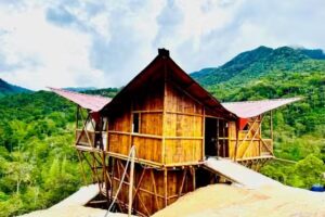 BAMBOO GLAMPING (ORIGAMI, OASIS)