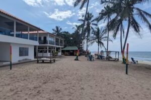 Beach Life Palomino & Beach Club