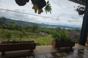 Bella Vista Experience