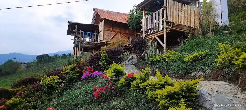 Benteveo Caba&ntilde;a Campestre