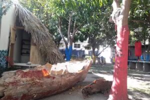 Bio Coliving Tayrona &ndash; hotel, parking & piscina / Pool en Naturaleza