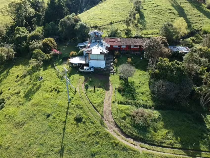 Birdglamping Nature Experiences, Glamping Hotel Valle del Cocora Salento.