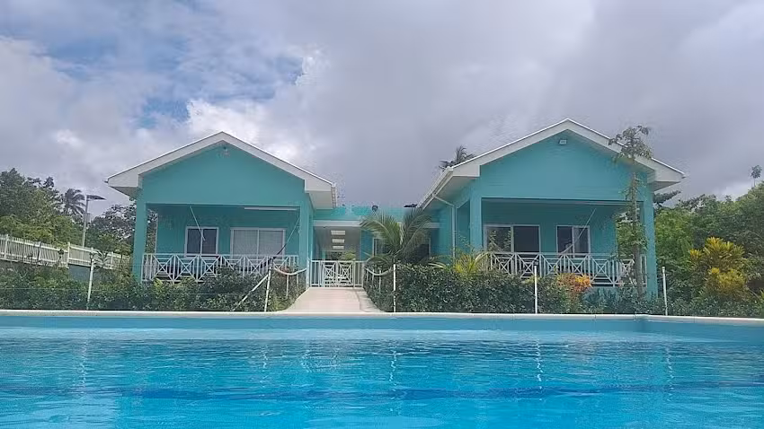 Blue Lizard House