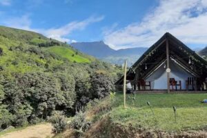 Bosque El Descanso – Rincón Bohemio