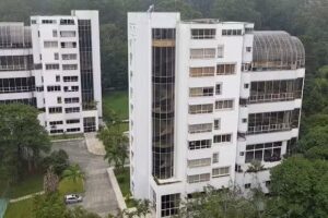 Bosques de la Volcana