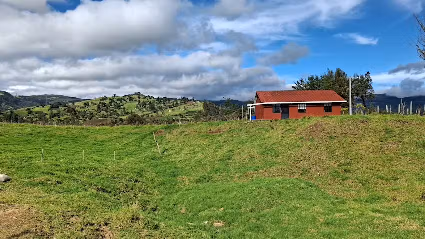 Caba&ntilde;a aracelly