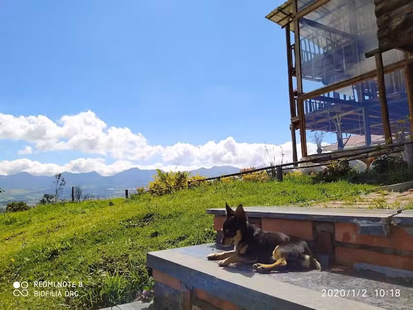 Caba&ntilde;a Biofilia