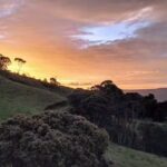 Caba&ntilde;a Buena Vista