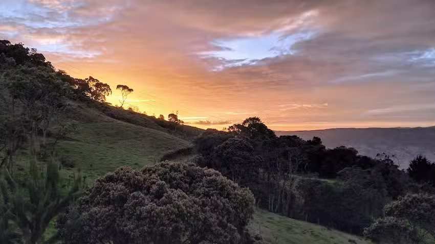 Caba&ntilde;a Buena Vista