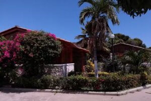 Caba&ntilde;a del Arbol