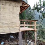 Caba&ntilde;a del arbol