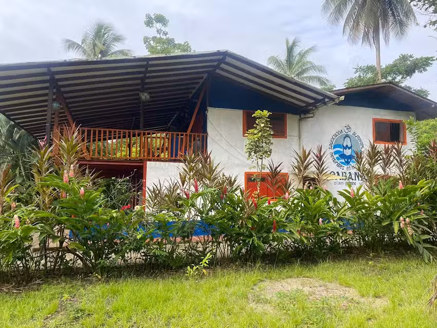 Caba&ntilde;a el bien germina ya