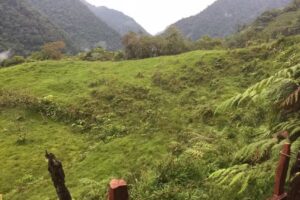 Caba&ntilde;a &ldquo;El Paisa&rdquo;