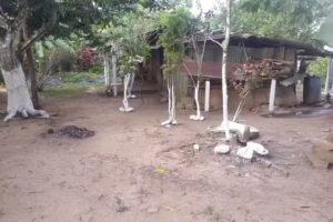 Caba&ntilde;a El Turpial