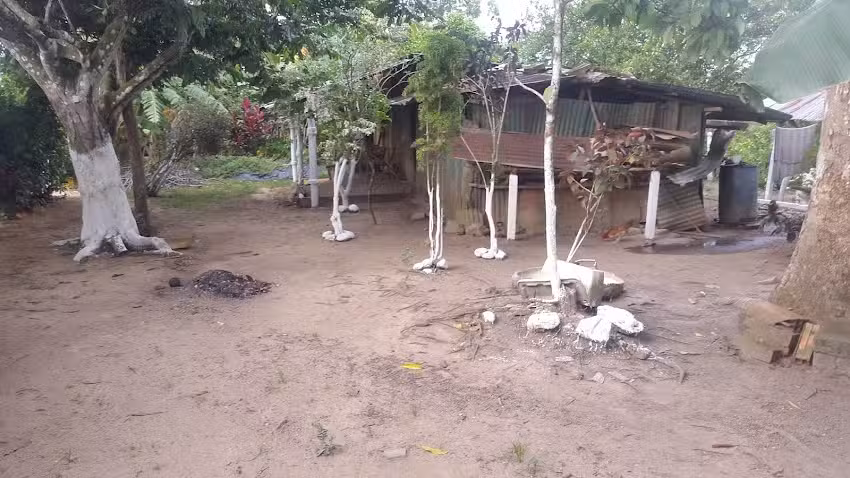 Caba&ntilde;a El Turpial