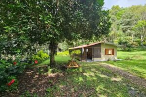 Caba&ntilde;a en bosque Cafetero