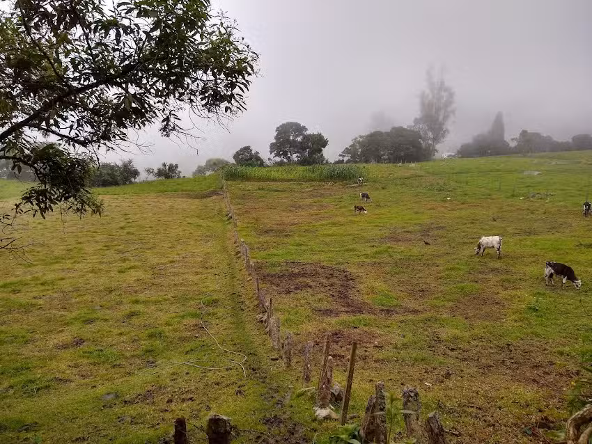 Caba&ntilde;a en La Chorrera