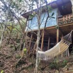 Caba&ntilde;a Entre Pinos