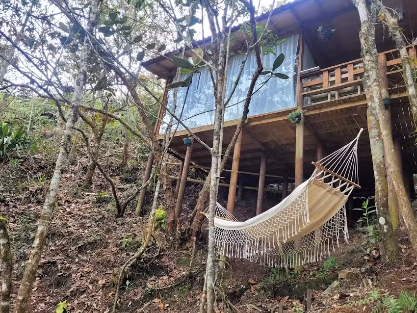 Caba&ntilde;a Entre Pinos