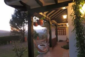 Caba&ntilde;a Entre Pinos