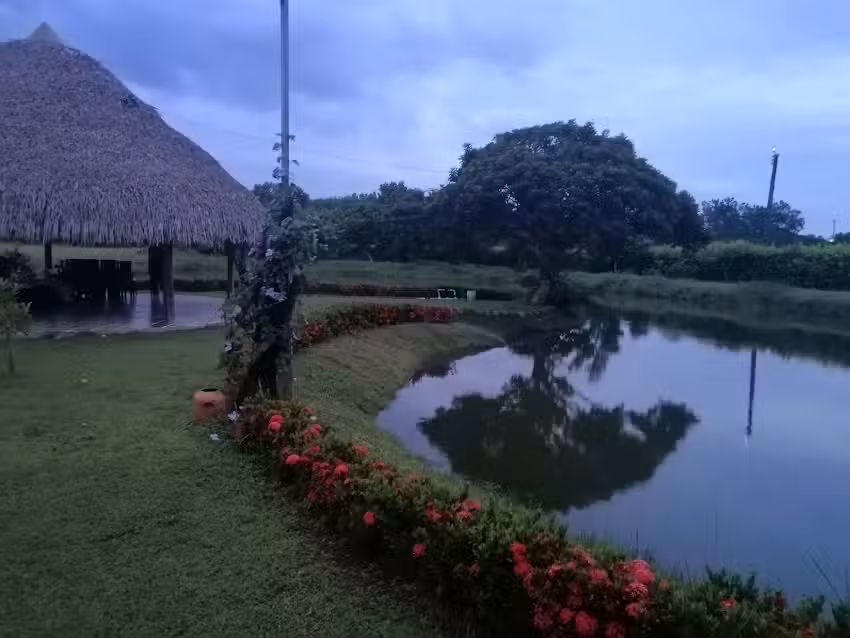 CABA&Ntilde;A GUARATAROS