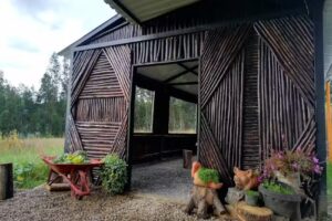 Caba&ntilde;a la orqu&iacute;dea