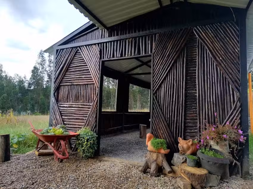 Caba&ntilde;a la orqu&iacute;dea