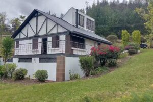 Caba&ntilde;a Las 3 Koalas