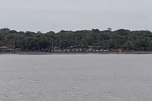 Caba&ntilde;a Las Palmeras