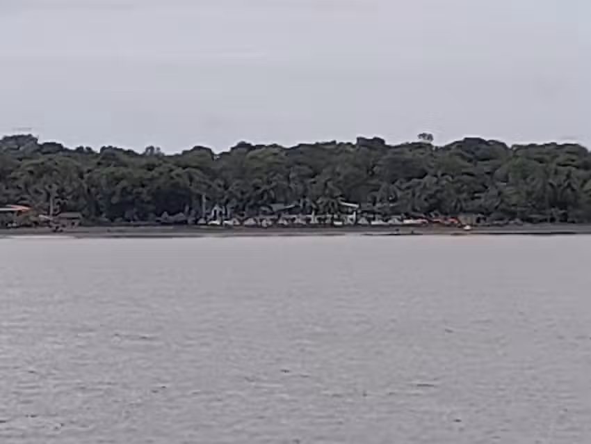 Caba&ntilde;a Las Palmeras