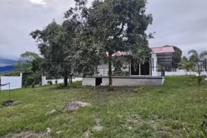 Caba&ntilde;a Las Palmeras