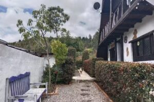 Caba&ntilde;a los hongos