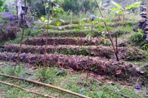 Caba&ntilde;a manantiales de sancarlos