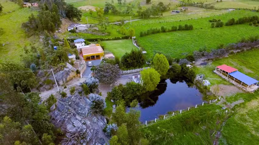 Caba&ntilde;a Mandarina