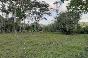 Caba&ntilde;a Montego Bay