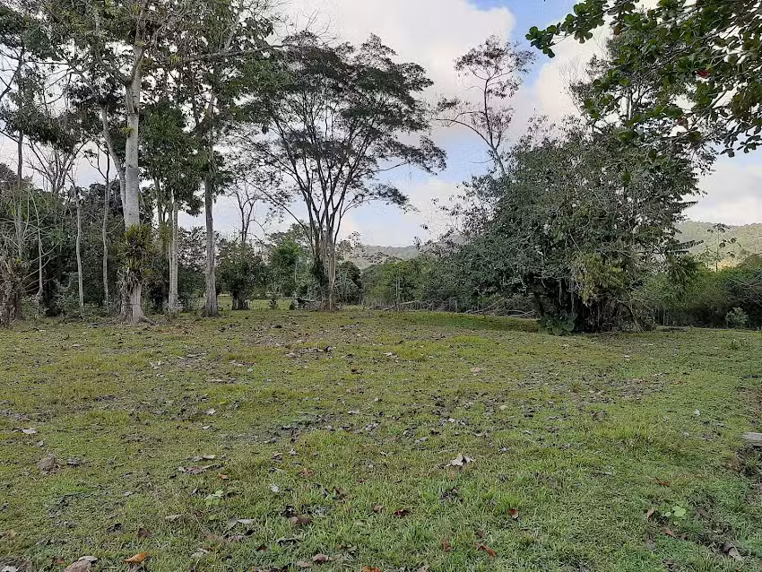 Caba&ntilde;a Montego Bay